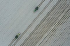 农户操做移栽机正在农田里移栽番茄苗（4月26日